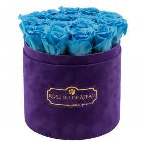 Roses Éternelles Azurées Dans Une Flowerbox Violette Floquée
