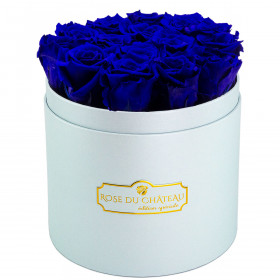 Roses Eternelles Bleues Dans Une Flowerbox Bleue