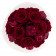Red Romance Éternelle Bouquet Dans une Flowerbox Blanche