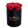 Roses Éternelles Roses Dans une Petite Flowerbox Noire
