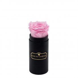 Světle růžová věčná růže v černém mini flowerboxu