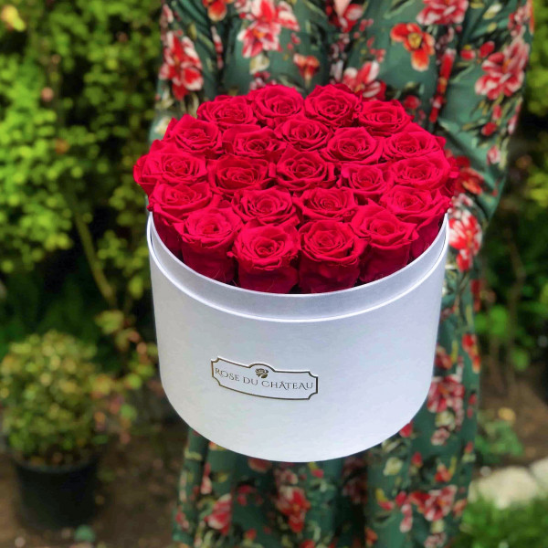 Růžové věčné růže ve velkém bílém flowerboxu