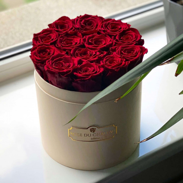 Červené věčné růže v broskvovém flowerboxu