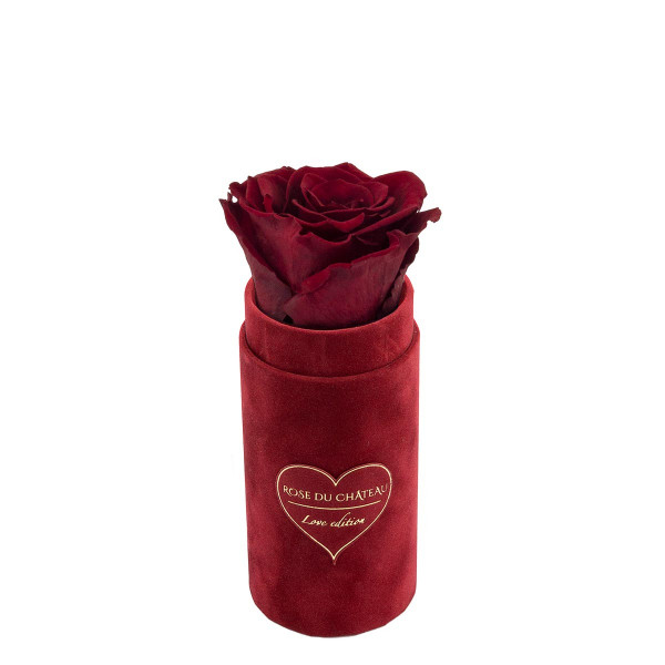 Červená věčná růže v mini bordovém semišovém flowerboxu - LOVE EDITION