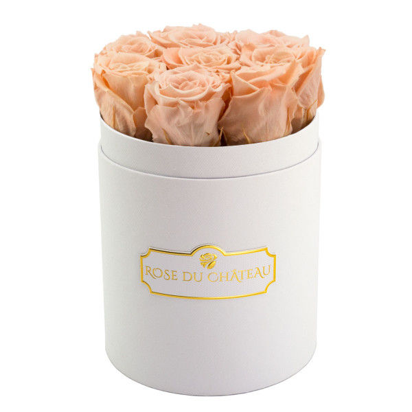 Čajové věčné růže v malém bílém flowerboxu