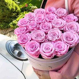 Světle růžové věčné růže v růžovém flowerboxu