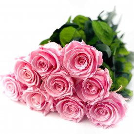 9 věčných světle růžových růží - 50 cm