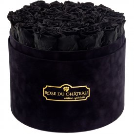 ČERNÉ věčné růže ve velkém černém flowerboxu