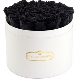 Černé věčné růže ve velkém bílém flowerboxu