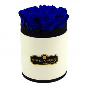 TMAVĚ MODRÉ věčné růže v malém béžovém flowerboxu