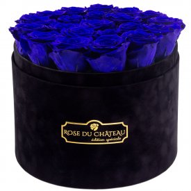 TMAVĚ MODRÉ věčné růže ve velkém černém flowerboxu