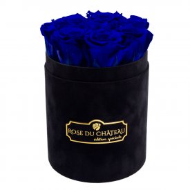 TMAVĚ MODRÉ věčné růže v malém černém flowerboxu