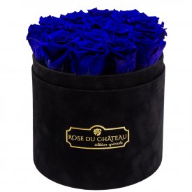 TMAVĚ MODRÉ věčné růže v černém kulatém flowerboxu
