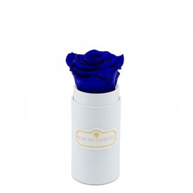 Tmavě modrá věčná růže v bílém mini flowerboxu