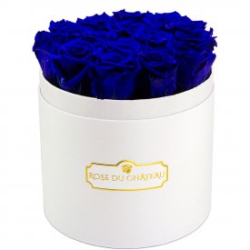 Tmavě modré věčné růže v bílém kulatém flowerboxu