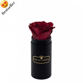 Červená věčná růže v černém mini flowerboxu