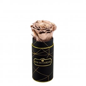 Zlatá věčná růže v černém mini flowerboxu