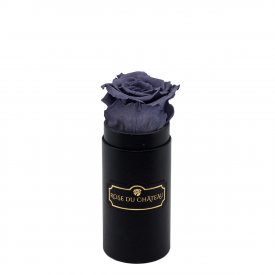 šedá věčná růže v černém mini flowerboxu