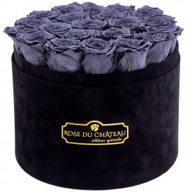 Šedé věčné růže ve velkém černém flowerboxu