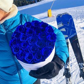 Tmavě modré věčné růže ve velkém bílém flowerboxuu