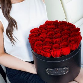 Červené věčné růže ve velkém černém flowerboxu