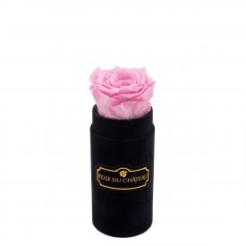 Růžová věčná růže v černém mini flowerboxu