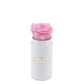 Světle růžová věčná růže v bílém mini flowerboxu
