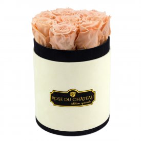 Čajové věčné růže v malém béžovém flowerboxu
