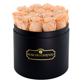 Čajové věčné růže v černém kulatém flowerboxu
