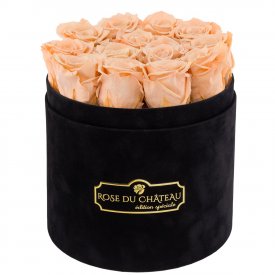 ČAJOVÉ věčné růže v černém kulatém flowerboxu