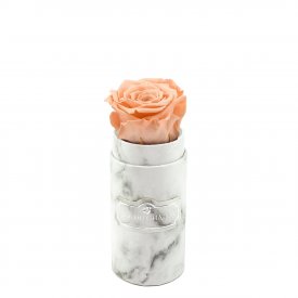 Čajová věčná růže v mini bílém mramorovém flowerboxu