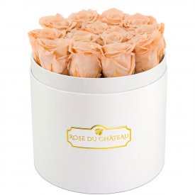 Čajové věčné růže v bílém kulatém flowerboxu