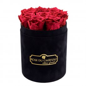 Růžové věčné růže v malém černém flowerboxu