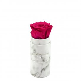 Růžová věčná růže v mini bílém mramorovém flowerboxu