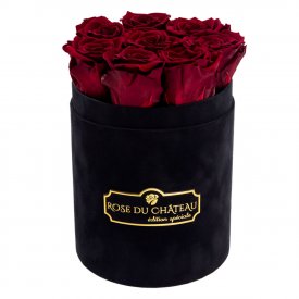 Červené věčné růže v malém černém flowerboxu