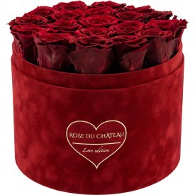 Červené věčné růže ve velkém růžovém semišovém flowerboxu - LOVE EDITION