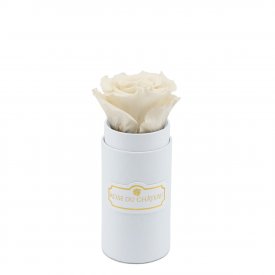 Bílá věčná růže v bílém mini flowerboxu