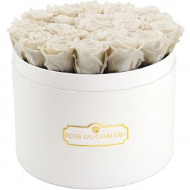 Bílé věčné růže ve velkém bílém flowerboxu