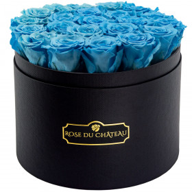 Modré věčné růže ve velkém černém flowerboxu