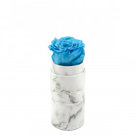Modrá věčná růže v mini bílém mramorovém flowerboxu