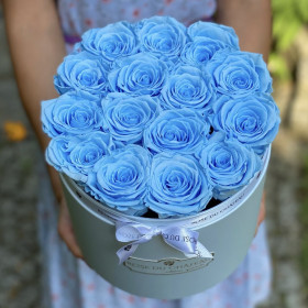 Modré věčné růže v modrém flowerboxu