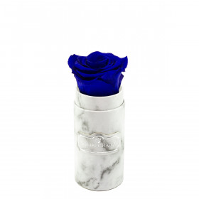 Tmavě modrá věčná růže v mini bílém mramorovém flowerboxu