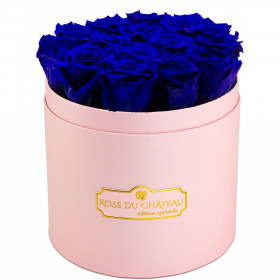 Tmavě modré věčné růže v růžovém flowerboxu