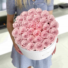 Světle růžové věčné růže ve mega bílém flowerboxu