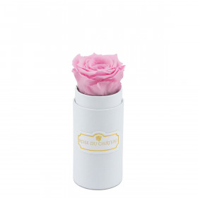 Světle růžová věčná růže v bílém mini flowerboxu
