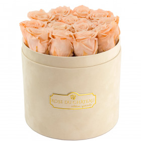 Čajové věčné růže v béžovém semišovém flowerboxu