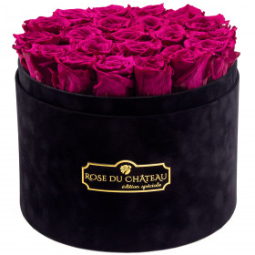 Růžové věčné růže ve velkém černém flowerboxu