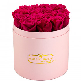 Růžové věčné růže v růžovém flowerboxu
