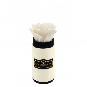 Bílá věčná růže v mini béžovém flowerboxu
