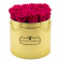 Růžové věčné růže ve zlatém flowerboxu